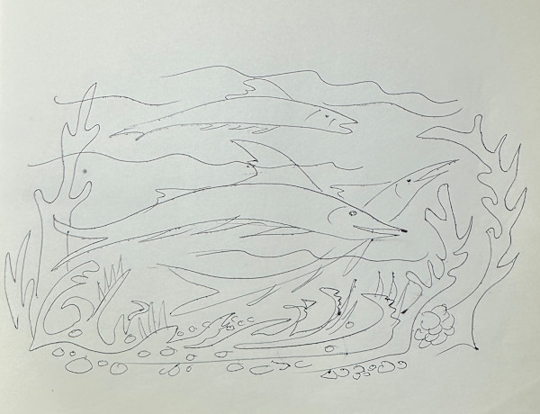 "Swimming Fish" named by CLL by Fred Shane, Image 1.