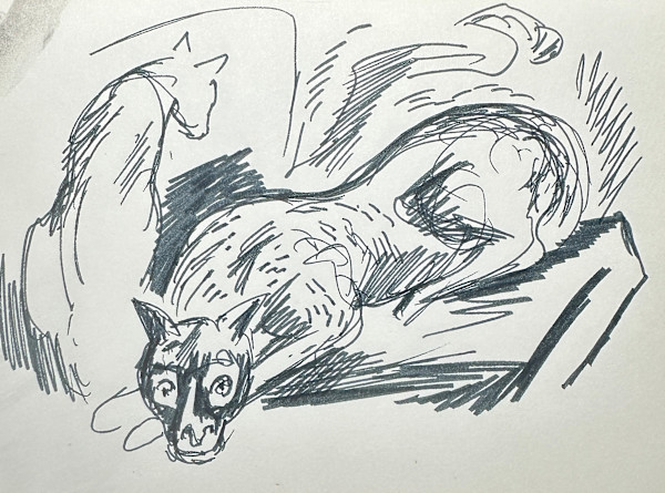 "Lounging Cat" named by CLL by Fred Shane, Image 1.