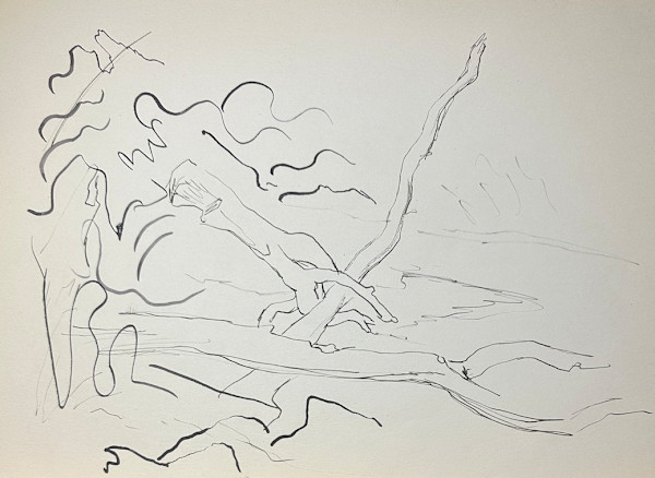 "Logs in a River, Initial Sketch" named by CLL by Fred Shane, Image 1.