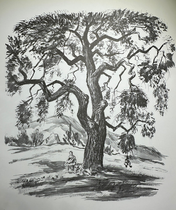 "Live Oak Tree" by Fred Shane, Image 1.