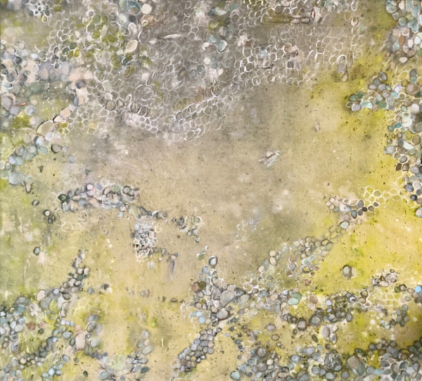 Verde 44B by Catherine di Napoli