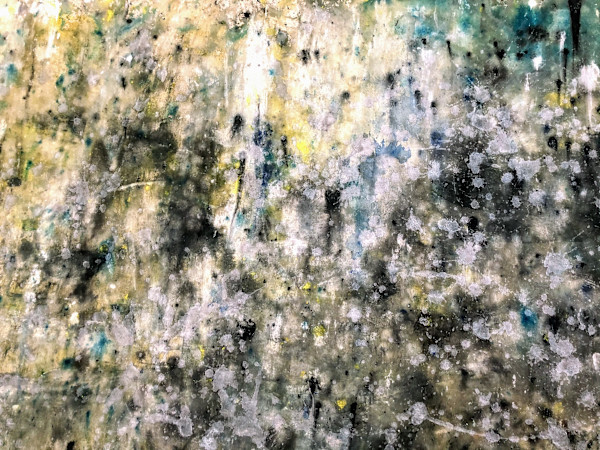 Verde 5 by Catherine Fucci di Napoli