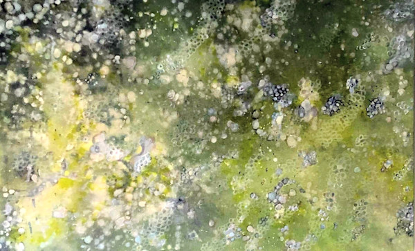 Verde 44A by Catherine di Napoli