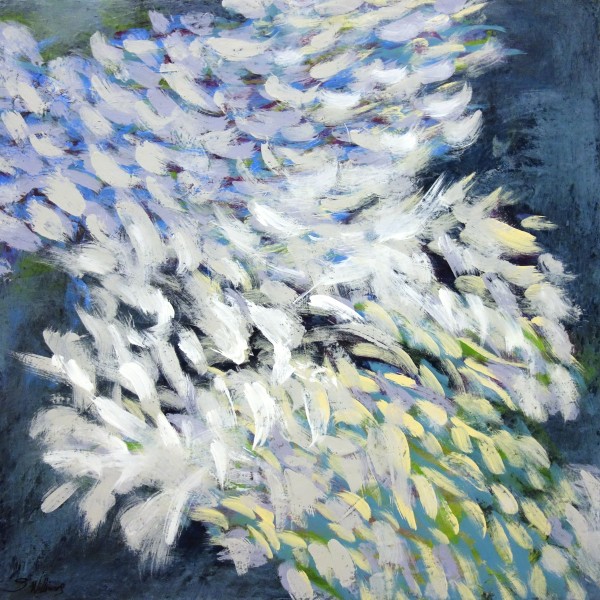 Feathers by Shirley Williams