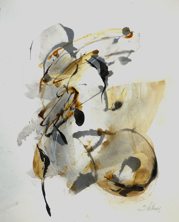 In the Wind - series by Shirley Williams