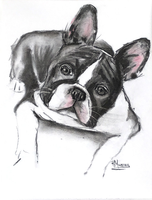 Frenchie by Roberta Murray