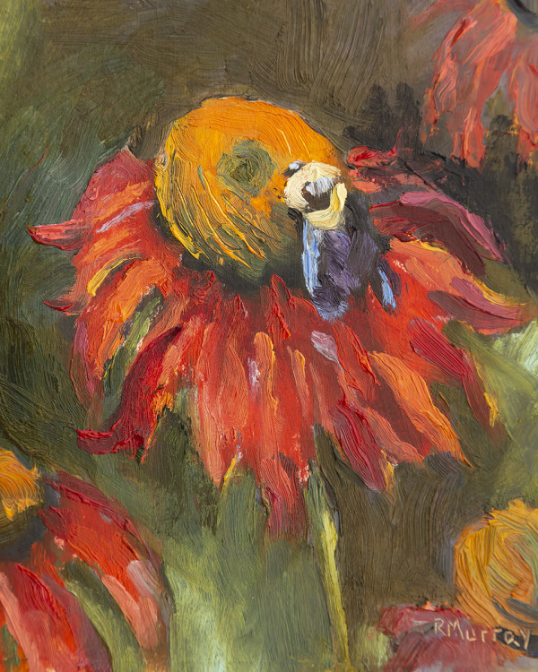 Echinacea by Roberta Murray