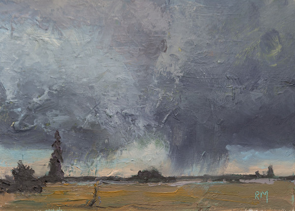 Turbulent Weather by Roberta Murray