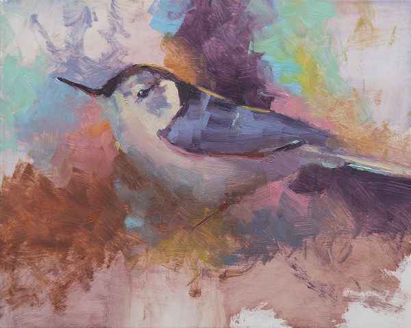 White-Breasted Nuthatch by Roberta Murray