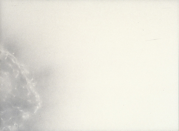 Whisper 10 by Katherine Keltner, Image 1.