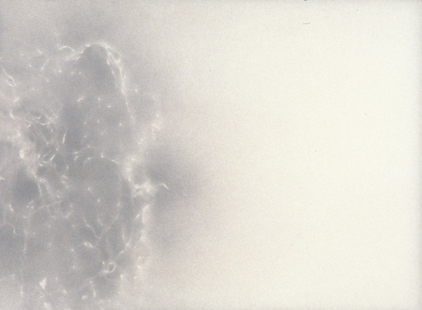 Whisper 1 by Katherine Keltner, Image 1.