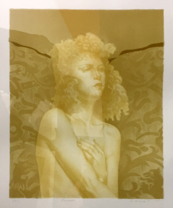 Brocade #7; 7/25 by Martha Erlebacher