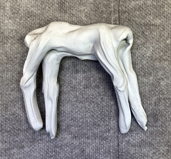 Abstract animal by Mary Bowron