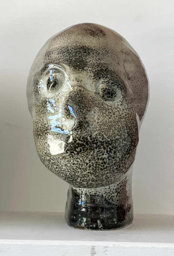 Silent Witness by Mary Bowron