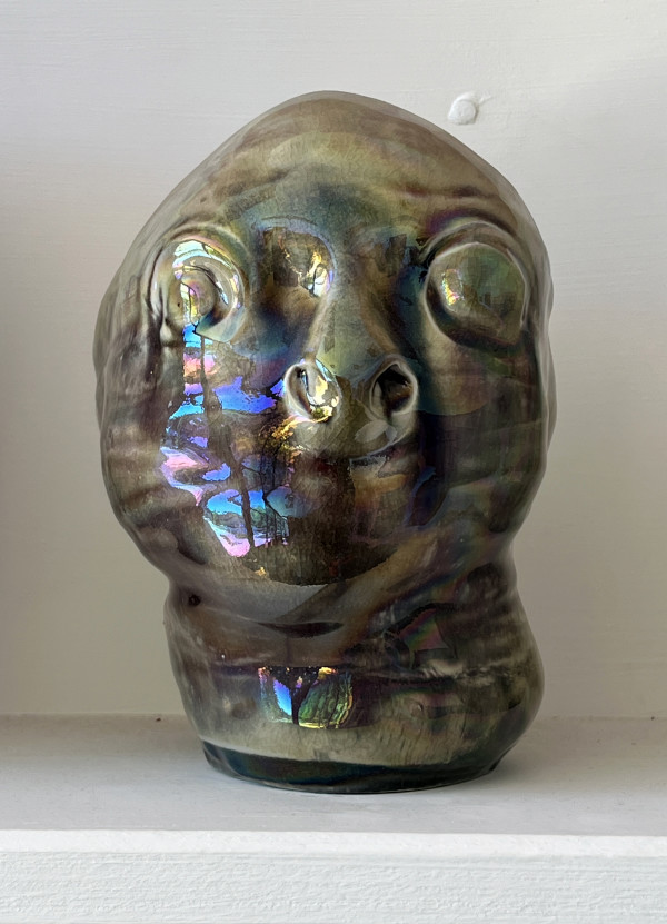 Silent Witness by Mary Bowron
