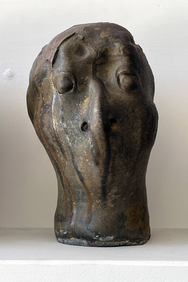Silent Witness by Mary Bowron