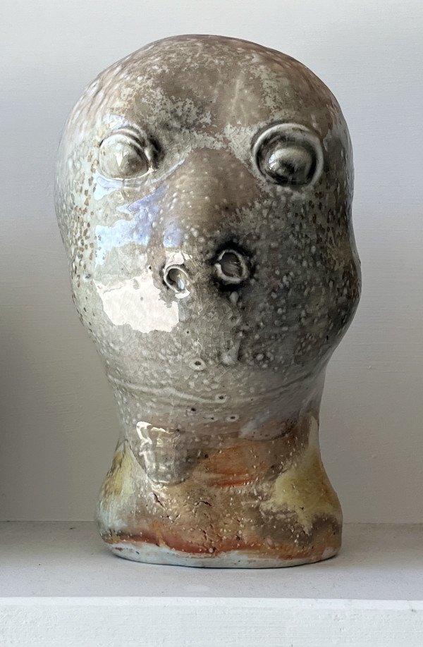 Silent Witness by Mary Bowron