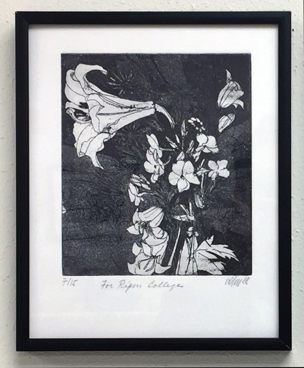 Day-lillies by Klaus Jahn