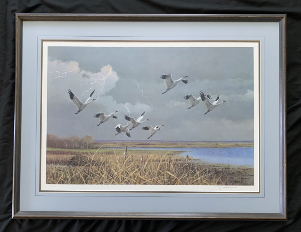 The Approaching Storm - Whooping Cranes by Owen J. Gromme