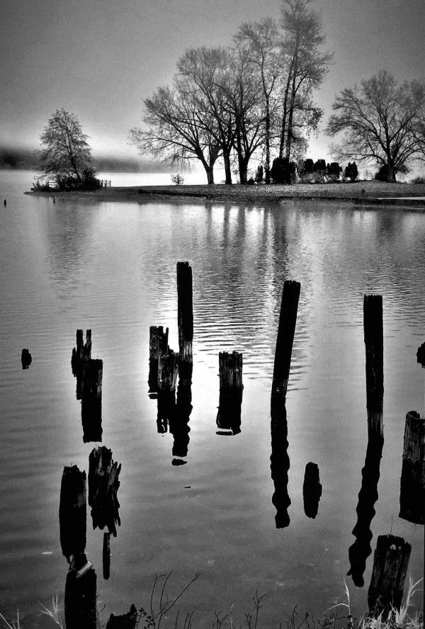 Lake Whatcom from Electric Avenue, Bellingham, WA by Rod Haynes