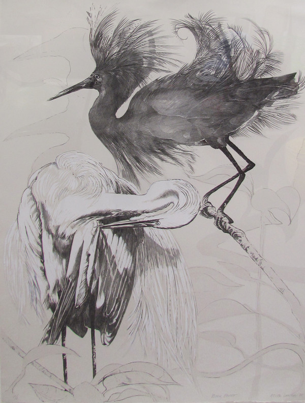 Black Egret by Ellen Lanyon