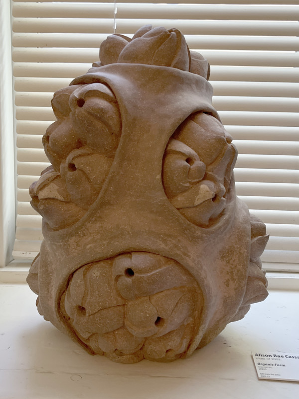 Organic Form by Alison Rae Cassady