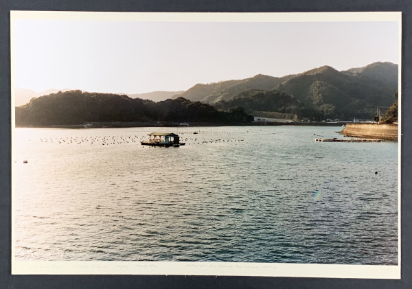 In the Kochi Bay by Eva Choung-Fux