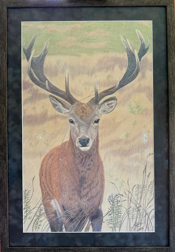 The Meadow King IJK151 by Creations Fine Art by Irena, Image 25.