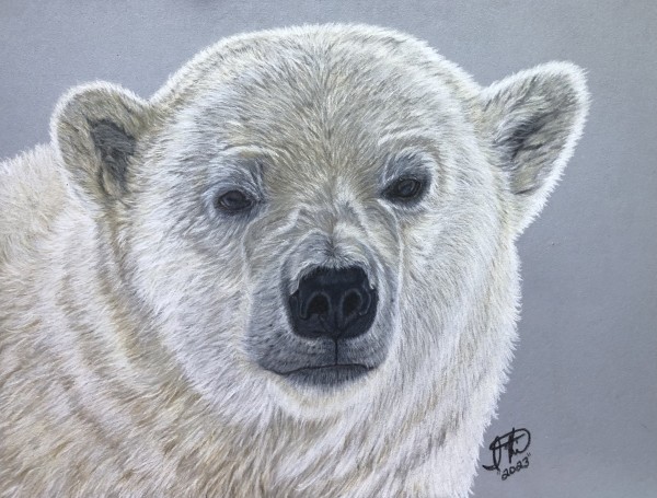 Polar Bear Pride (134) by Irena Kelso