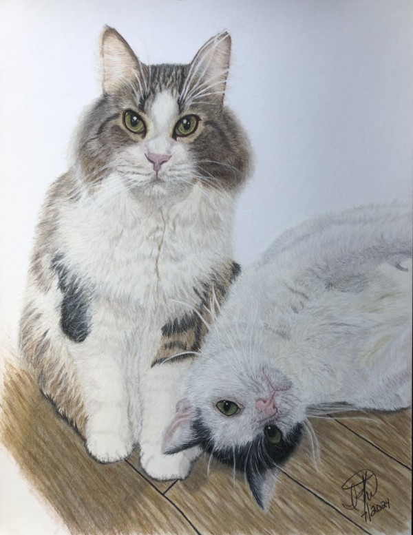 Donut & Echo Minutella by Creations Fine Art by Irena, Image 12.