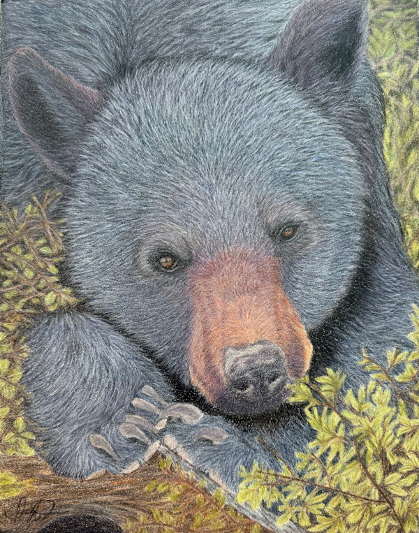 You Lookin’ At Me?! by Creations Fine Art by Irena, Image 17.