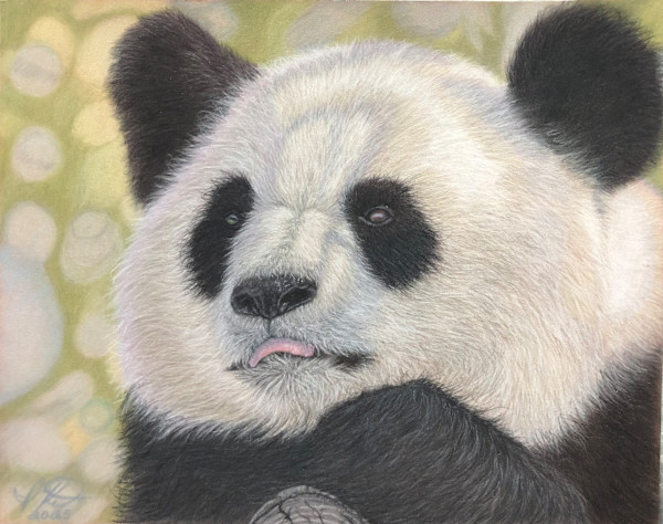 Cuddle Bug (146) by Creations Fine Art by Irena, Image 13.
