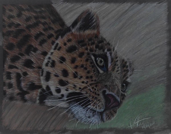 Lazy Leopard (107) by Irena Kelso