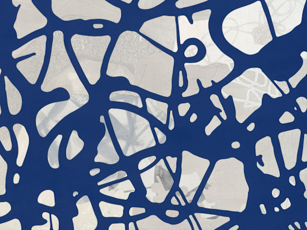 In the Web by Kathy Cornwell