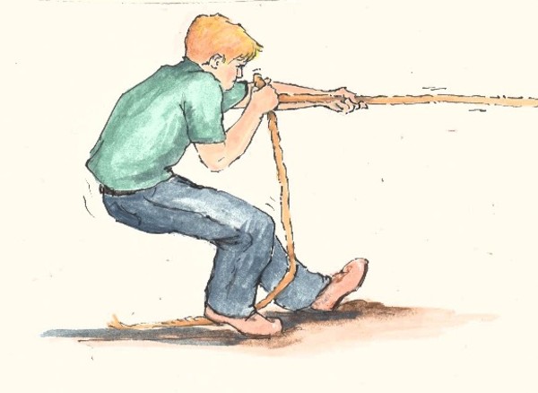 "County Fair Cow Pull" by Elizabeth Stathis 