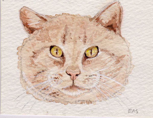 "Sandy Cat" by Elizabeth Stathis 