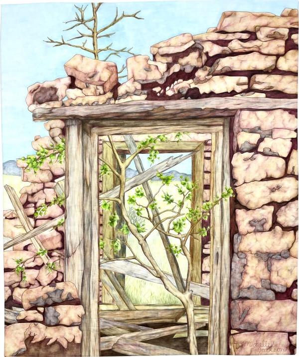 Adobe Spring by Michelle Jackson
