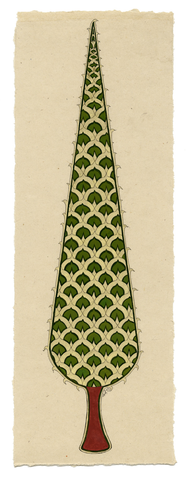 Baqaa by Alefiya Abbas Ali