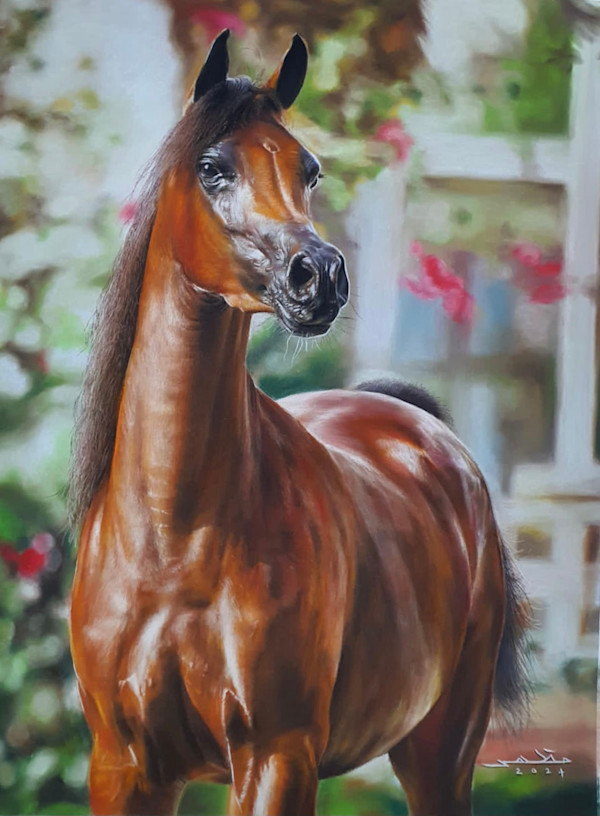 Elegance by Mazher Sadiq