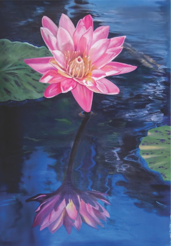 Lotus by Samina Sachak