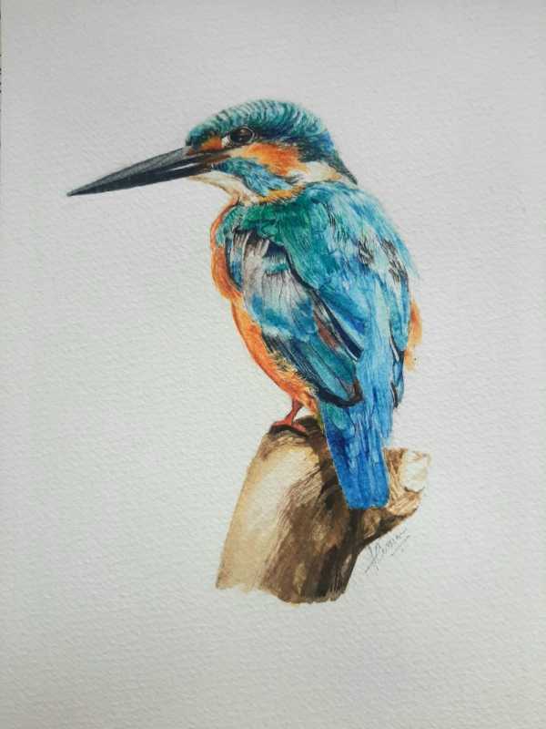 Kingfisher by Fatema Currim