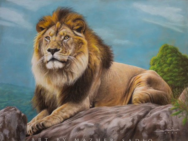 Lion by Mazher Sadiq