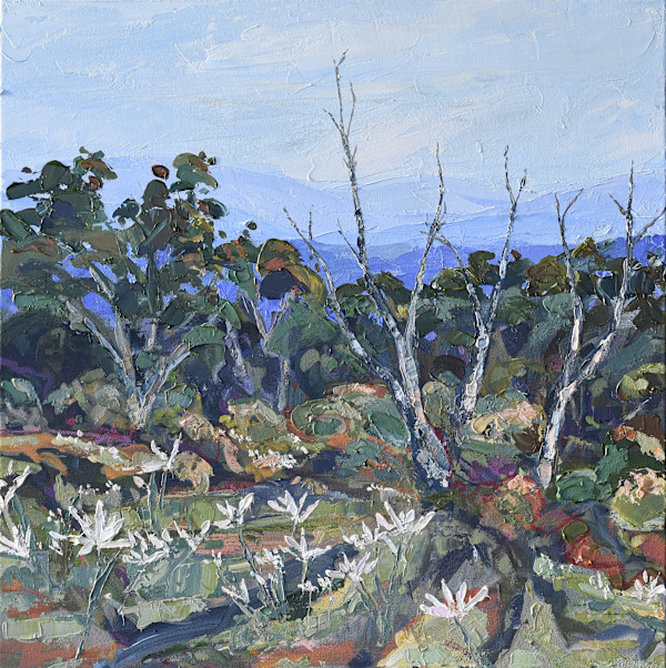 Where The Snow Daisies Bloom