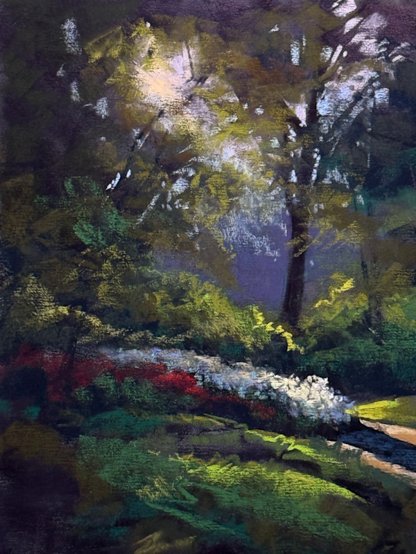 MORNING REVERIE by Laura Pollak