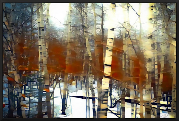 Aspen Dreams - framed by Lisa Drew