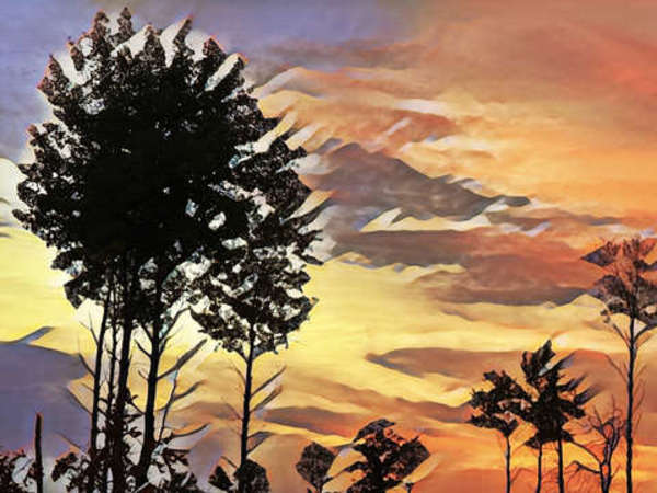 St. Croix Serengeti - unframed by Lisa Drew