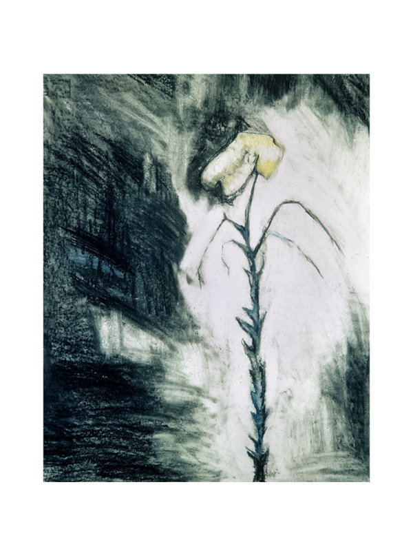 Abstract Real by Mary Higgins