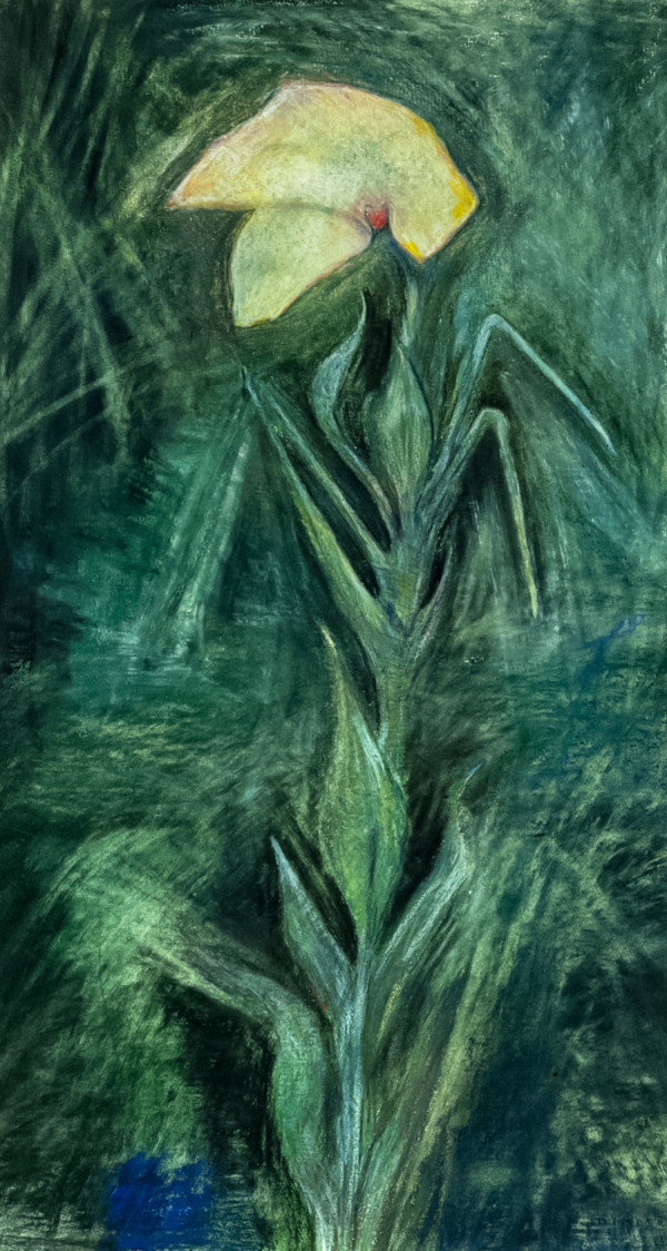 Flower by Mary Higgins