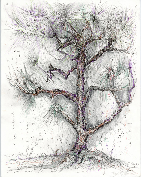 Seoul in Winter.Tree.05 by Mary Higgins