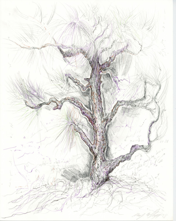 Seoul in Winter.Tree.06 by Mary Higgins